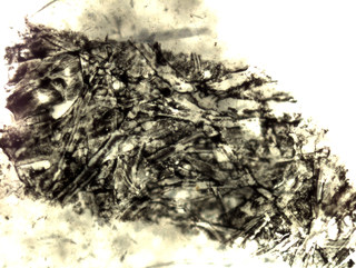 Micro/Macro, Frammento di un’opera di Elisa Bollazzi al microscopio, Photo © Microcollection