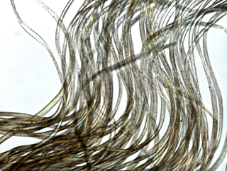 Micro/Macro, Frammento di un’opera di QWERTY al microscopio, Photo © Microcollection