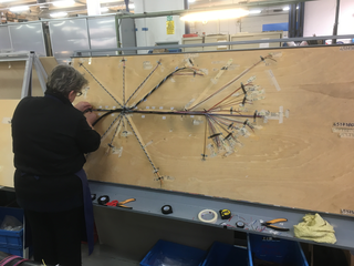 De Humana Corporis Fabrica, Photo © Marco Panizza