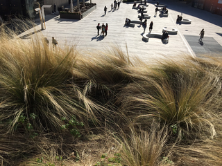 Storie, Photo © Carla Della Beffa