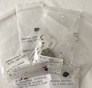 Micro/Macro, Photo © Microcollection