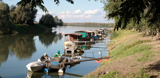 Comune di Suzzara, Parco San Colombano © Oltrepò mantovano