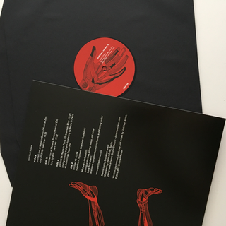 Electro-noise Live at Teatro Guido, Doppio LP